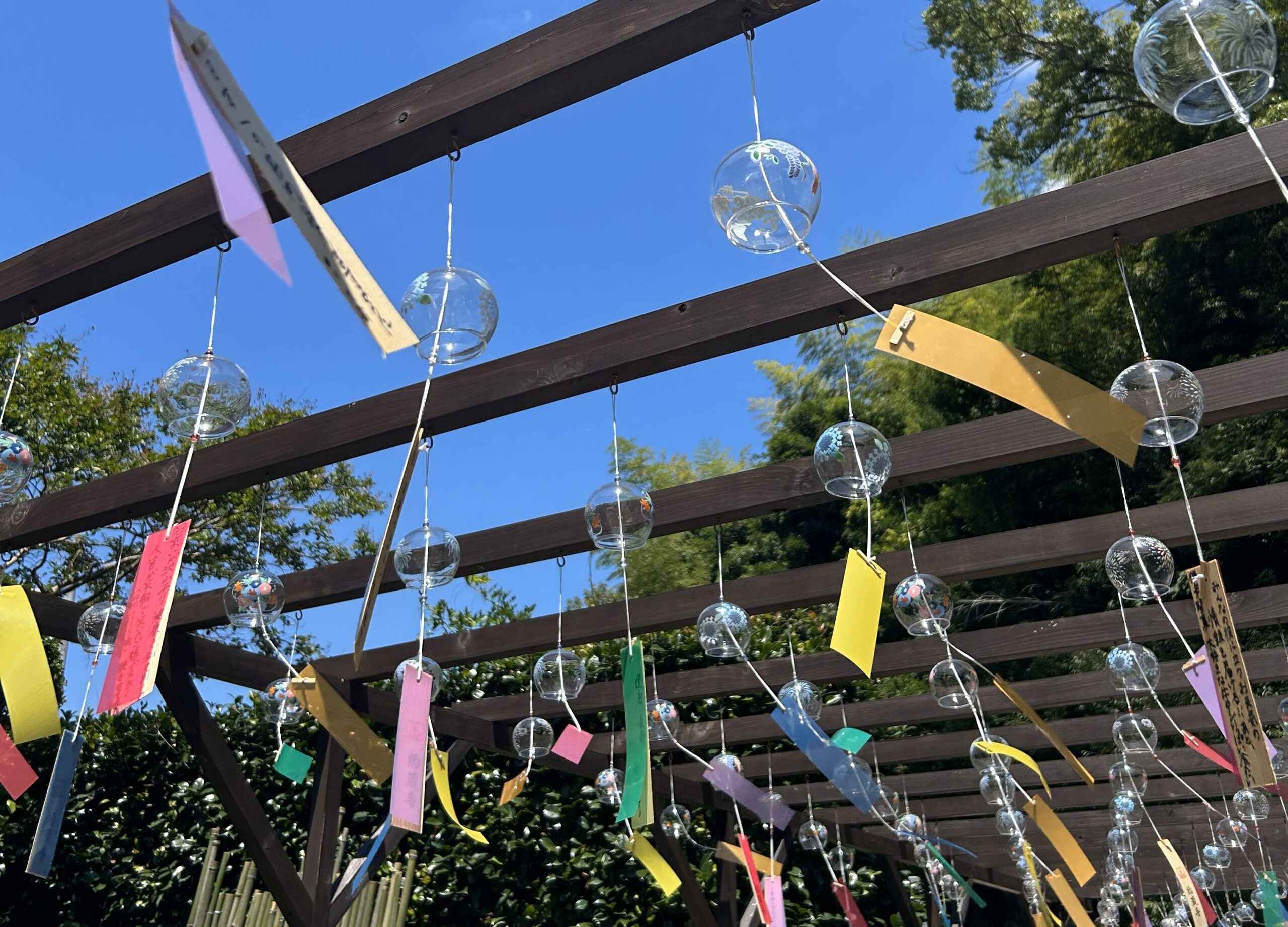 風鈴祭り|高野山真言宗 胎蔵寺(徳島県)