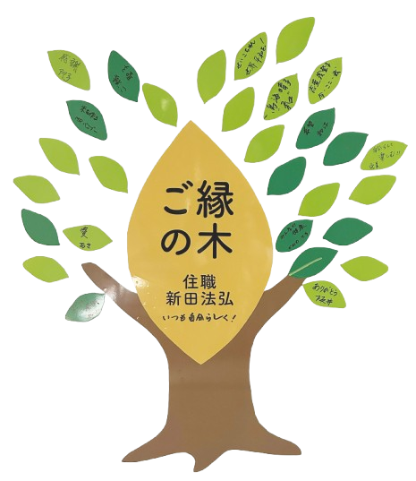 ご縁の木|高野山真言宗 胎蔵寺「ご参拝のみなさまに一言想いを書き添えていただき、そっと貼っていただきます。